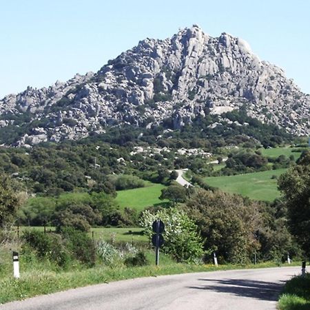 La Vignaredda - Residenza Di Charme Hotel Aggius Kültér fotó