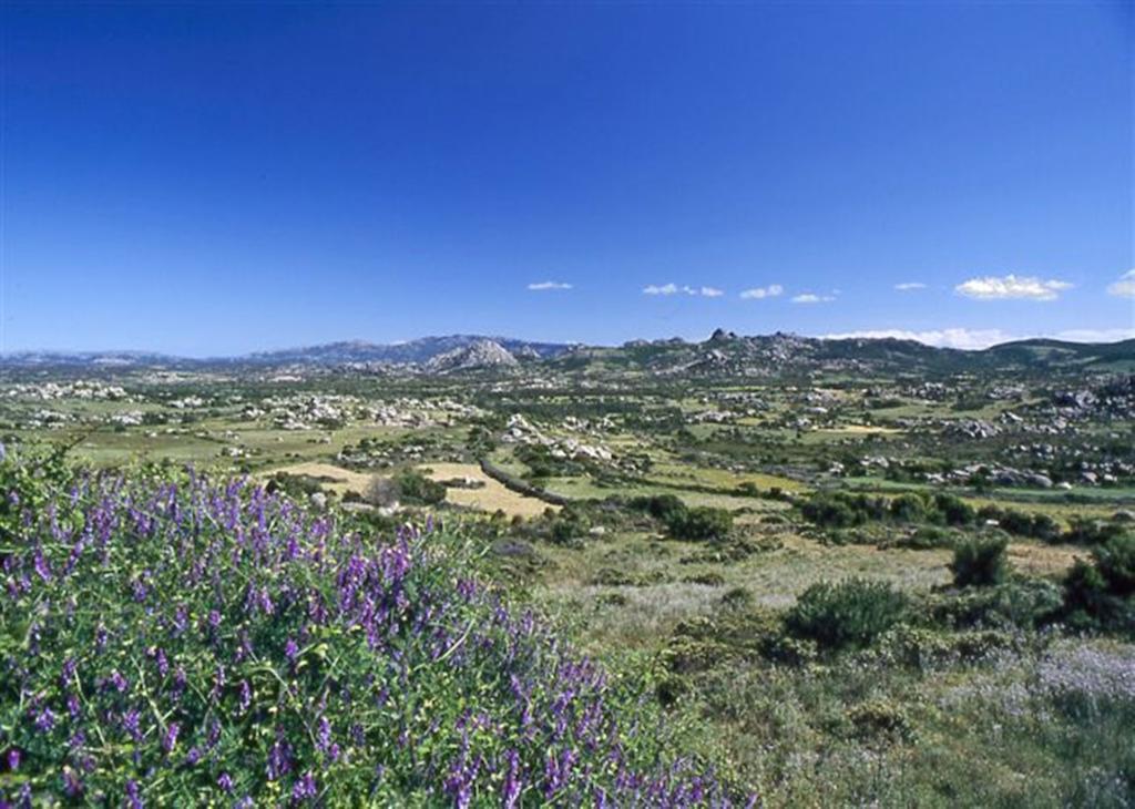 La Vignaredda - Residenza Di Charme Hotel Aggius Kültér fotó