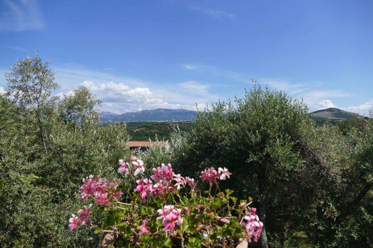 La Vignaredda - Residenza Di Charme Hotel Aggius Kültér fotó